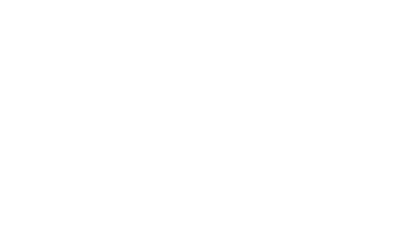 Logo Vnpt White