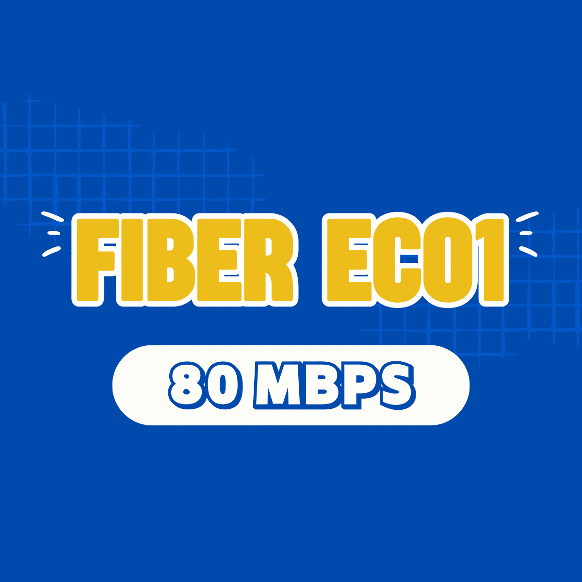 Fiber Eco 1,fibereco1