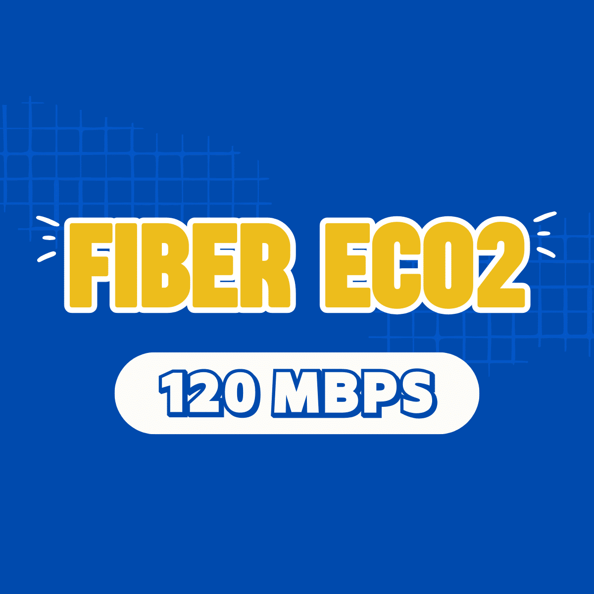 Fiber Eco 2, fibereco2