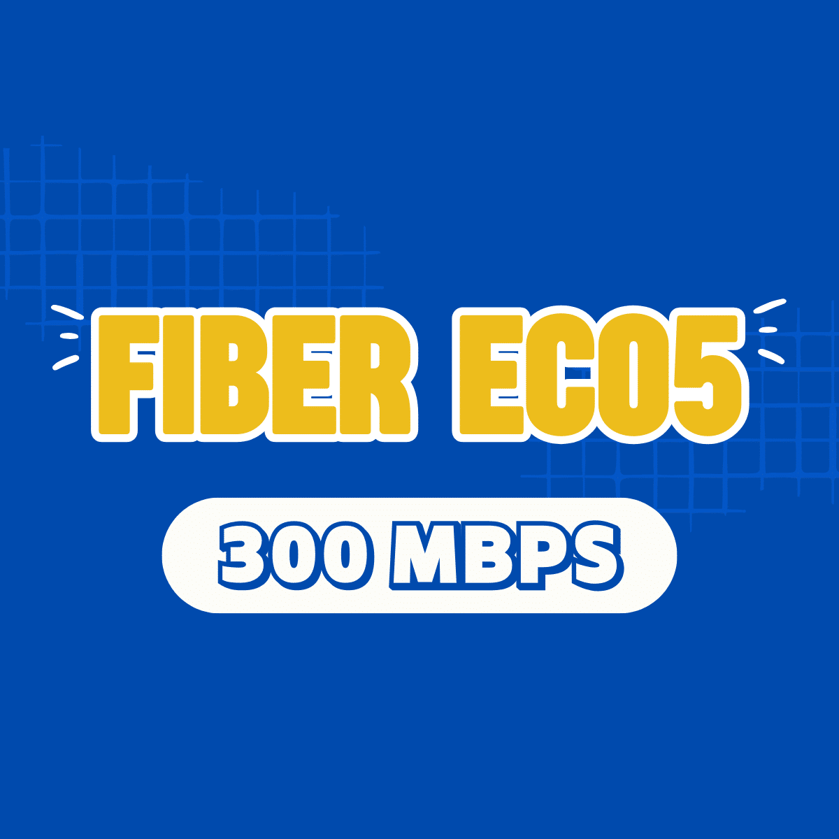 Fiber Eco 5, fibereco5
