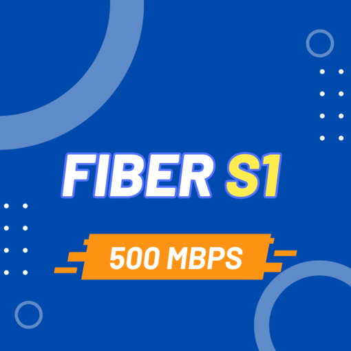 Fiber S1 Vnpt