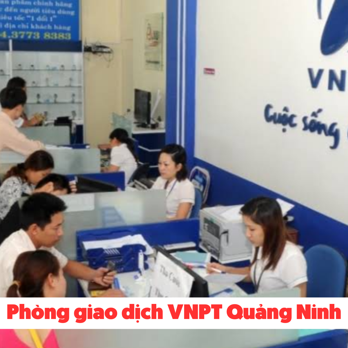 Chi Nhánh Cửa Hàng Vnpt Quảng Ninh